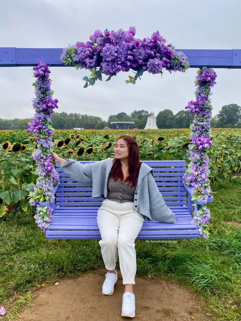 Visitor sitting on a purple swing decorated with flowers in the sunflower fields at Holland Ridge Farms.